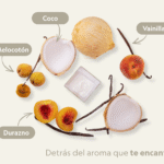 Leave in, 13 in 1 / 003 6 Imagen ingredientes aroma